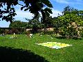 gal/holiday/Yeovil Area 2007 - Tintihull Gardens/_thb_Tintinhull_Gardens_IMG_7620.jpg